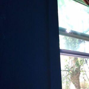 Meet your Posher, Alexander